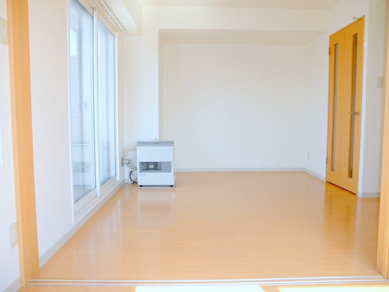 Living and room. Spacious 1LDK type of room