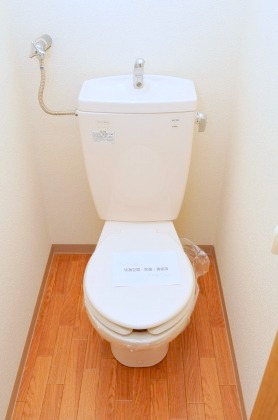 Toilet. It is beautifully cleaning being completed