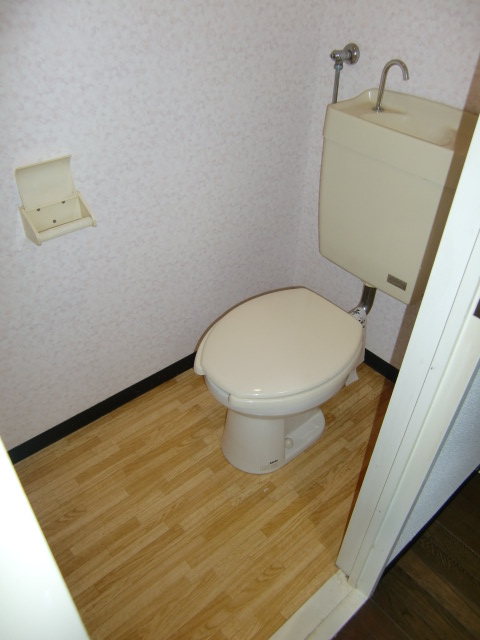 Toilet. It is beautiful in the pre-cleaning! 