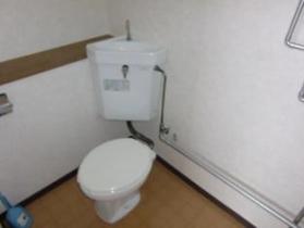 Toilet. Toilet