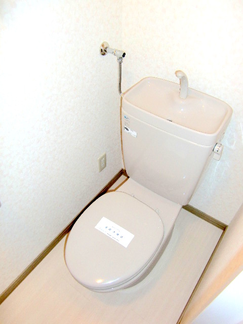 Toilet. It is shiny with pre-disinfection