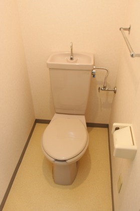 Toilet. Washlet or mounting Why?