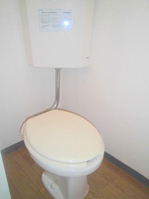 Toilet. Clean is clean already