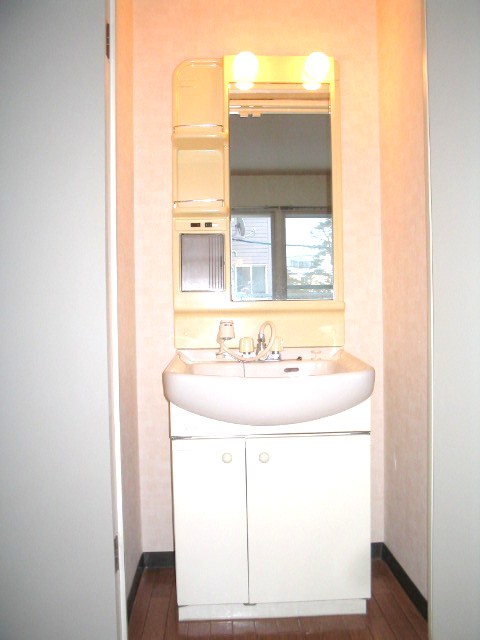 Washroom. Shampoo dresser