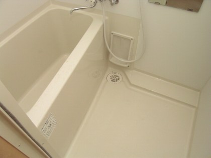 Bath. Spacious type of bath