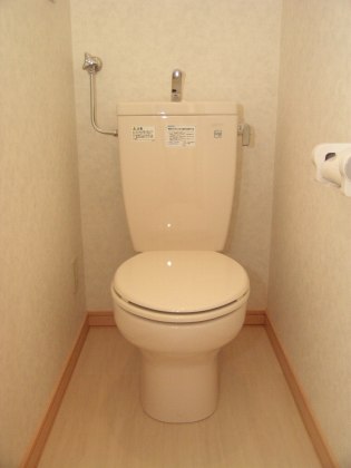 Toilet. It is beautifully cleaning being completed