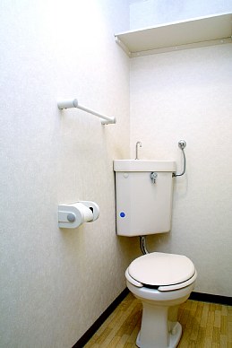 Toilet. Let's clean (^. ^) / ~~~