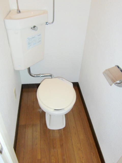 Toilet. It is beautifully cleaning being completed