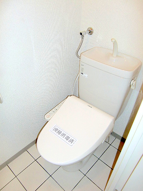 Toilet. Clean to clean already toilet