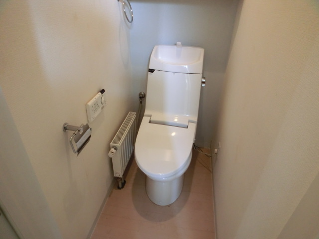 Toilet