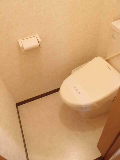 Toilet. Now it has a bidet of new! It is a luxury! 