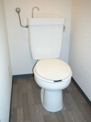 Toilet. There is also a clean toilet