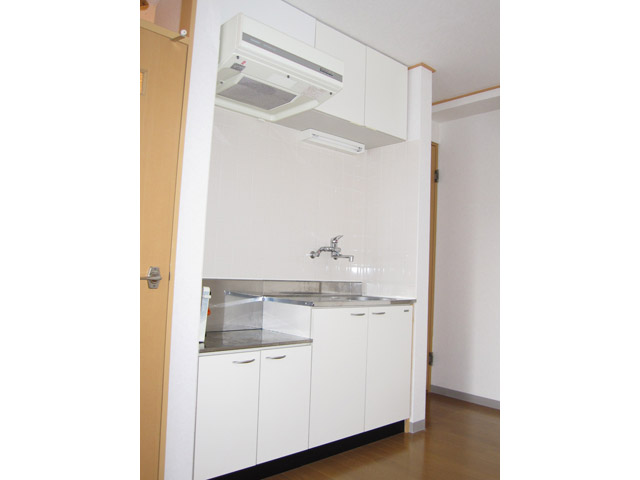 Kitchen. White and shiny kitchen