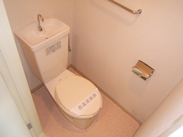 Toilet. Wide and easy to use. 