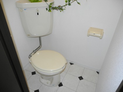 Toilet