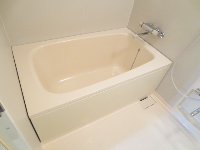 Bath. Spacious size