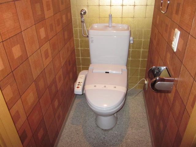 Toilet. There Washlet! 