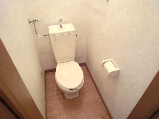 Toilet. Toilet