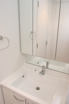 Washroom. Stylish bathroom vanity made of foreign