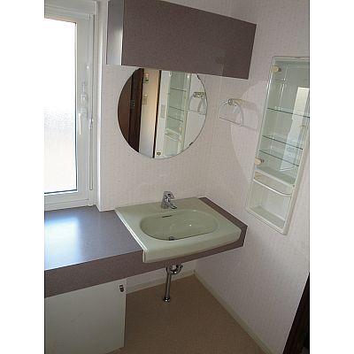 Wash basin, toilet