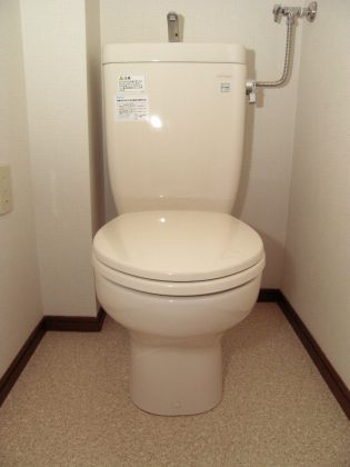 Toilet. Beautiful toilet ☆ 