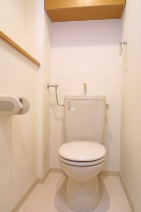 Toilet. Toilet with a shelf That's still useful