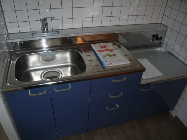 Kitchen. Stylish color scheme of the kitchen