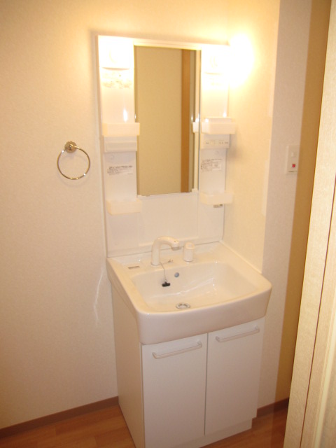 Washroom. Shampoo dresser