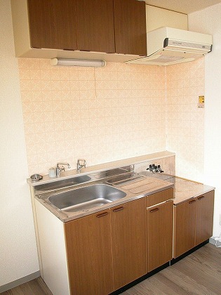 Kitchen. It is fashionable kitchen of woodgrain