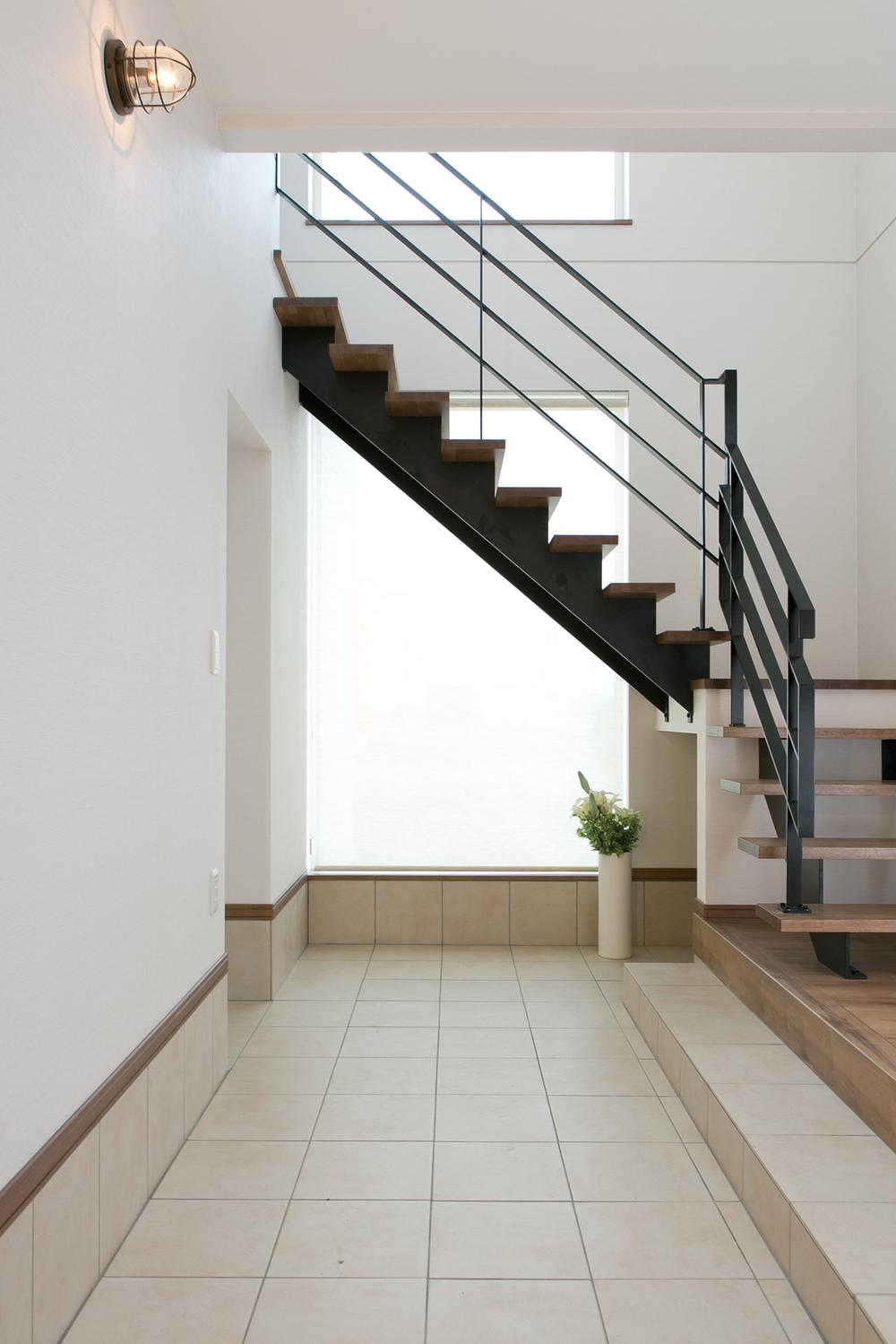 Other introspection. Entrance