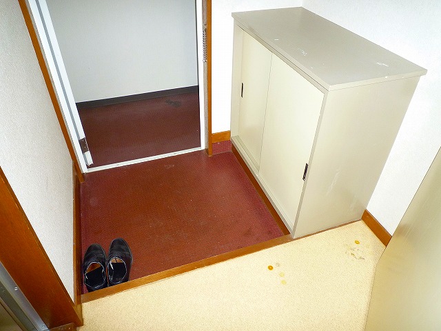 Entrance. Footwear with storage entrance