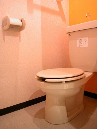 Toilet