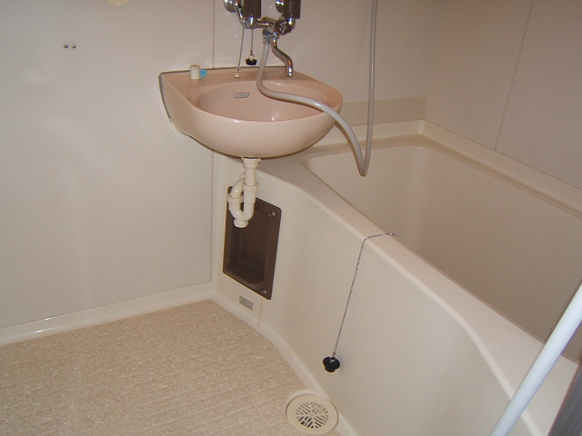 Bath. Spacious bathrooms! Also have a wash basin