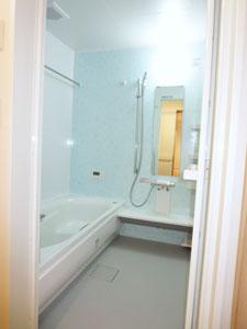 Bathroom. Pleasant bathroom with a refreshing light blue wall