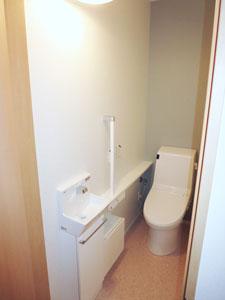 Toilet. Washlet toilet