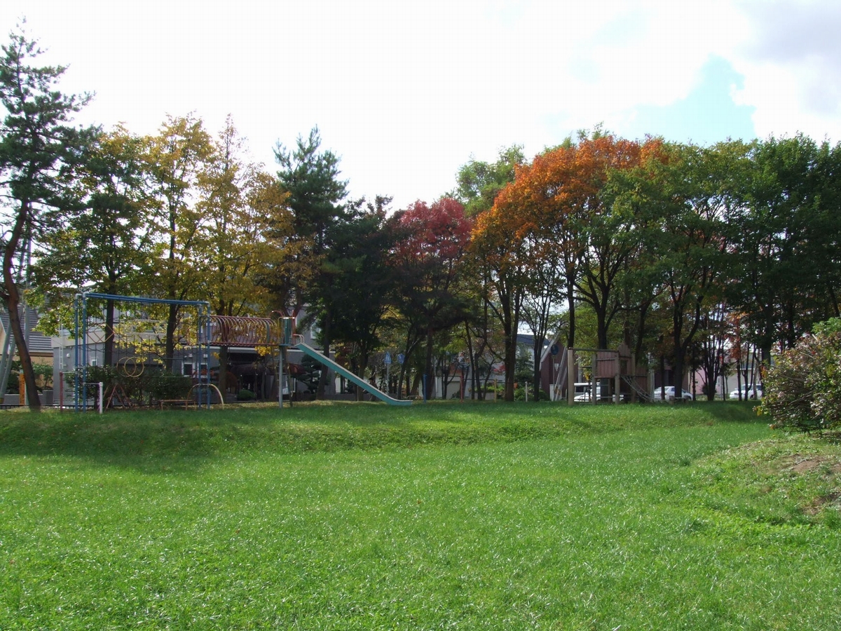 Other Environmental Photo. 640m until mushrooms park