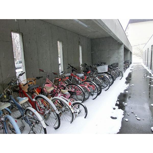 Other introspection. Bicycle-parking space