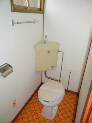 Toilet. Also equipped with clean toilet! ! 