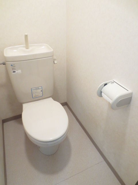 Toilet. Toilet cleanliness! 