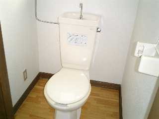 Toilet. Is beautiful