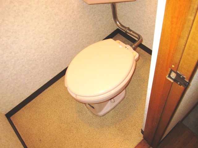 Toilet. Precious space you want to use every day