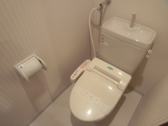 Toilet. Popular with bidet