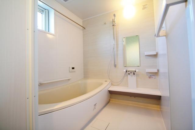 Bathroom. Indoor (10 May 2013) Shooting