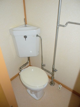 Toilet. Beautiful toilet ☆ 