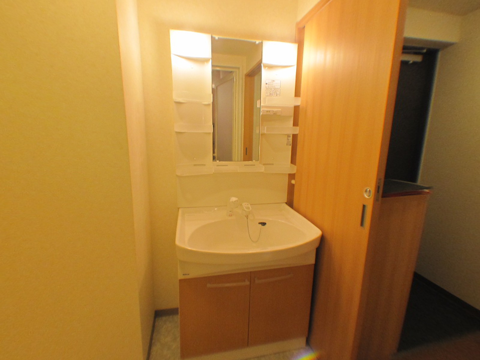 Washroom. Stylish with shampoo dresser