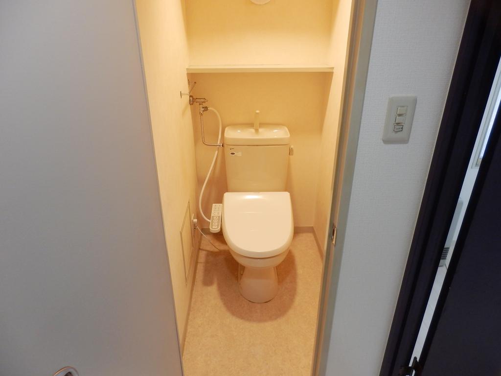 Living and room. Toilet of new