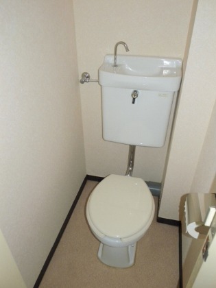 Toilet. Toilet