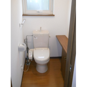 Toilet. Bidet in the remaining feature