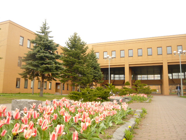 University ・ Junior college. National Hokkaido University of Education Sapporo University (University ・ 982m up to junior college)