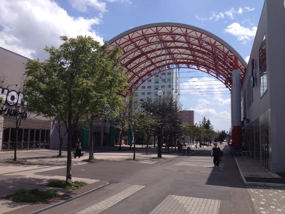 Shopping centre. Shopping center with a roof